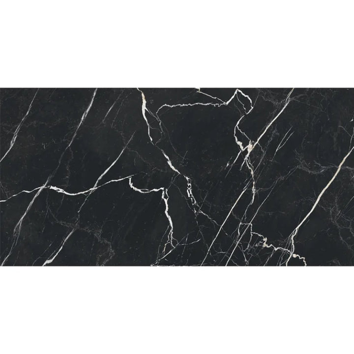 Apollo Tile Regalia Nero Black 24-in x 48-in Matte Porcelain Encaustic Floor and Wall Tile product image