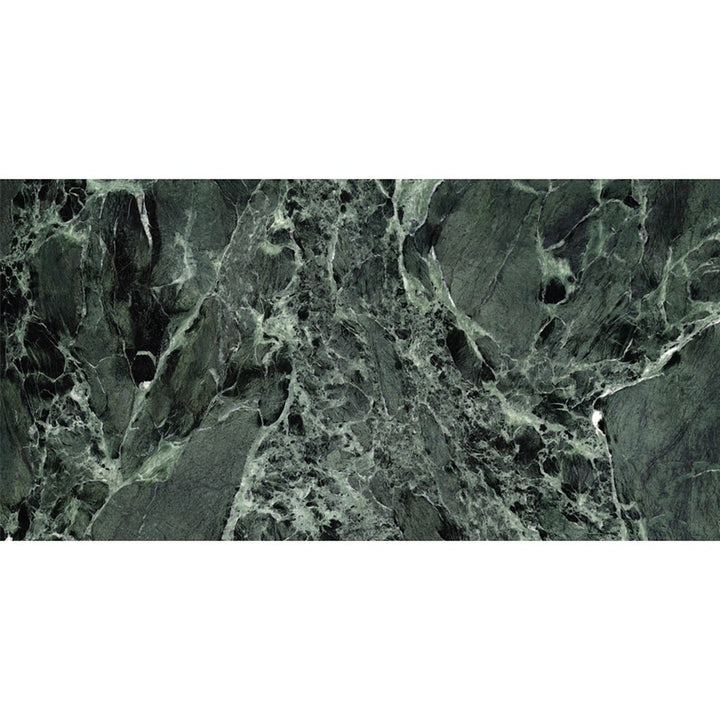 Apollo Tile Regalia Verde Alpi 24-in x 48-in Matte Porcelain Encaustic Floor and Wall Tile product image