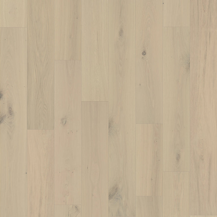 Element Flooring European white oak Coster hardwood flooring — primary plank view