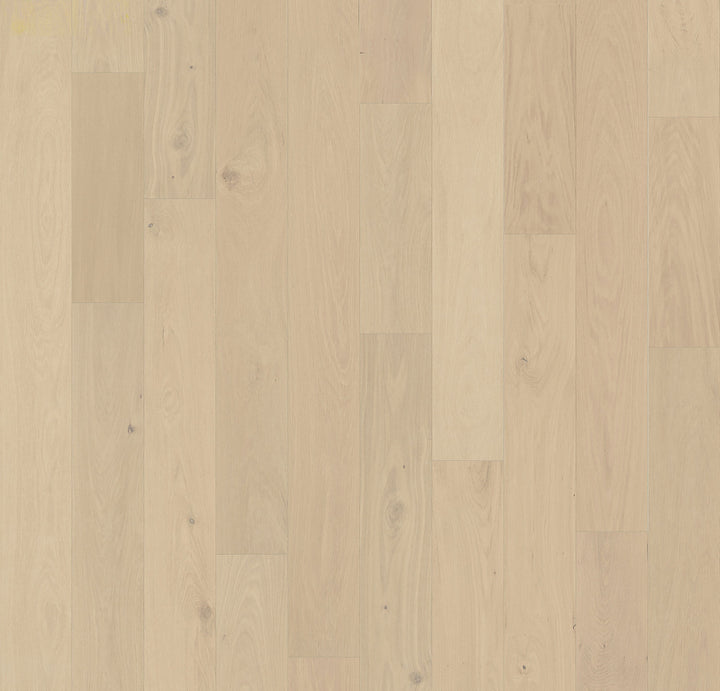 Element Flooring European white oak Moore hardwood flooring — primary plank view