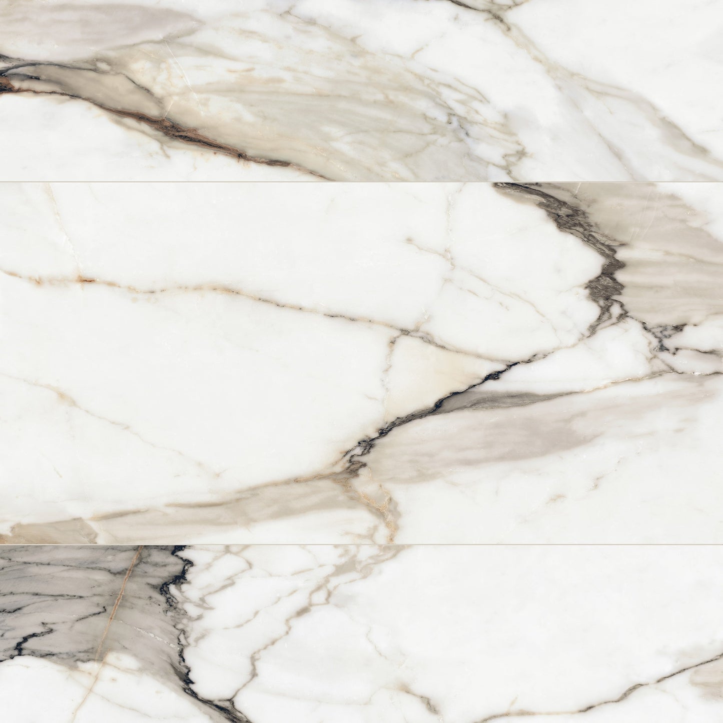 Satori Calacatta Dorado 24-in x 48-in Honed Porcelain Marble look Floor and Wall Tile product image
