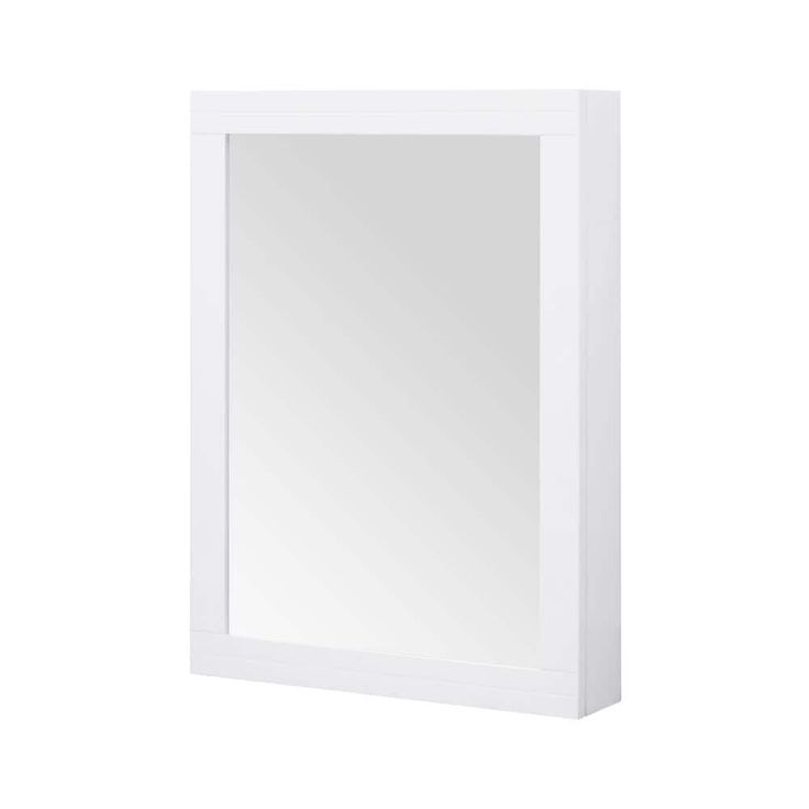 Home Decorators Collection Sturgess 24 in. W x 32 in. H Rectangular Medicine Cabinet with Mirror