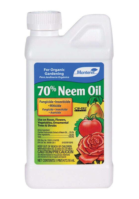 92b41887-10cb-4f3b-8399-797d7635ccb5_quality=60&_mzcb=_1649148331752_206501976