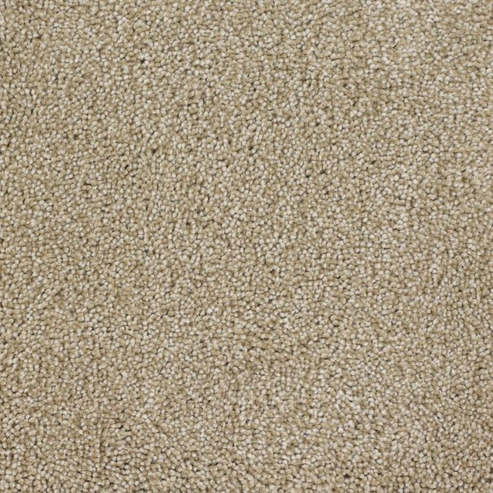 STAINMASTER Signature Briar Patch Avalon Textured Carpet (Indoor)
