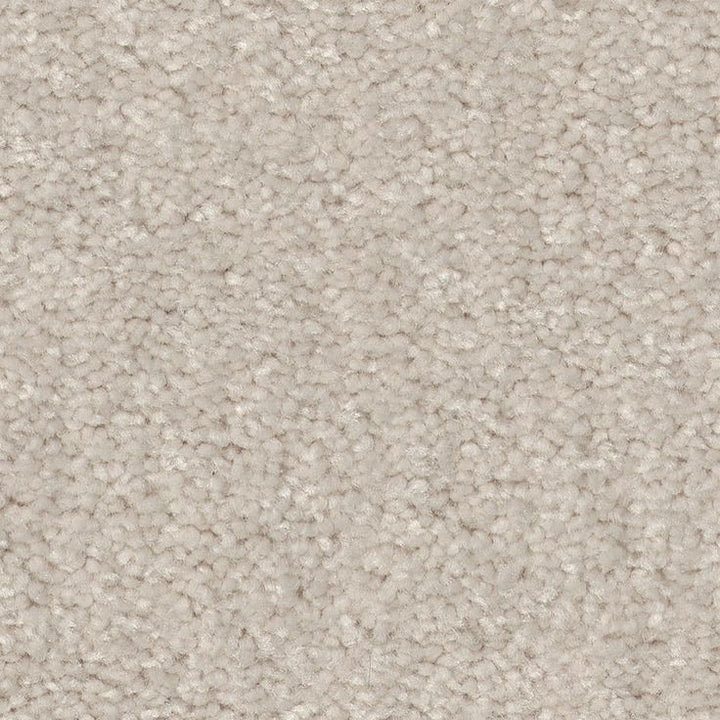 STAINMASTER Essentials Blue Diamonds III 12-ft Minimalist Textured Carpet (Indoor)