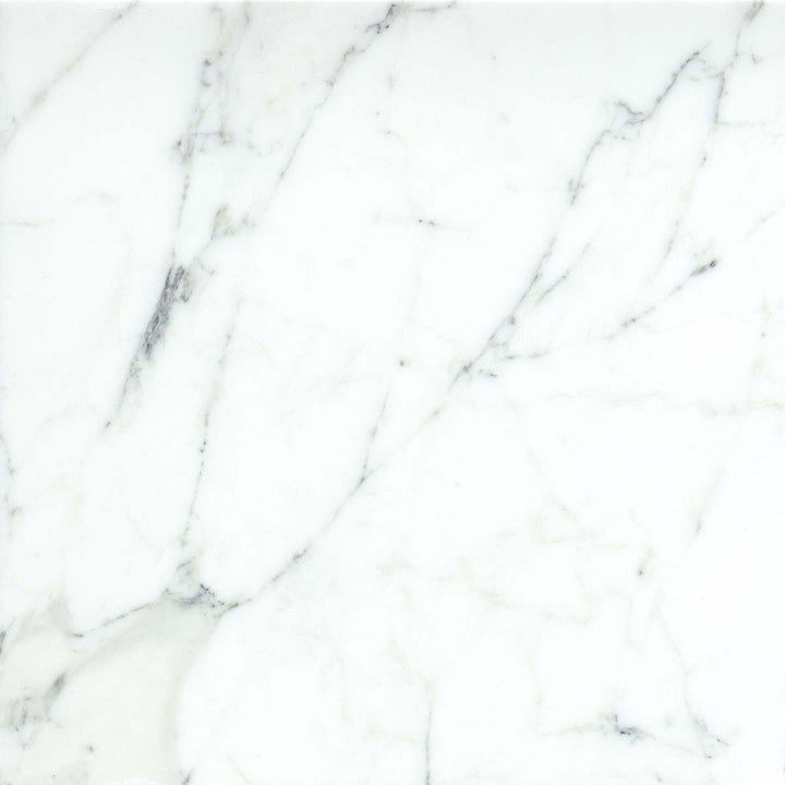 Emser Calacata Oro 20-Pack 4 in x 8 in Polished Natural Marble Floor and Wall Tile