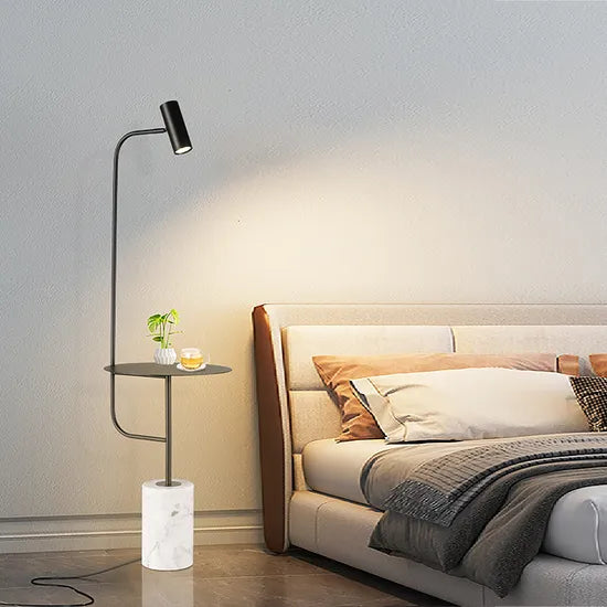 DLSS Lighting Co., Ltd Hotel Decoration Floor Lighting Outside Black Glod Bedside Living Room Floor Lamp