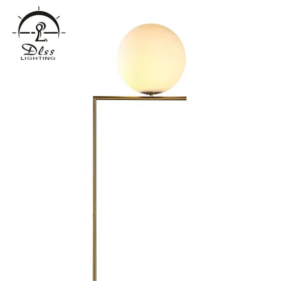 DLSS Lighting Co., Ltd Metal Floor Lamp Mosern Decorative Indoor Room with E14 Lighting