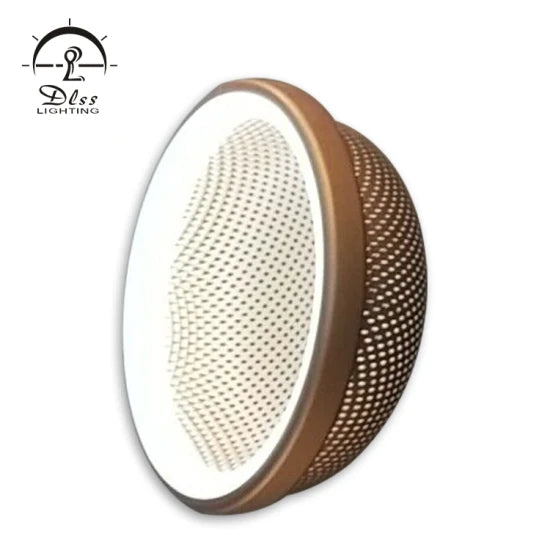 DLSS Lighting Co., Ltd Newest Home Living Room Wall Light Fixture Decorative Lighting