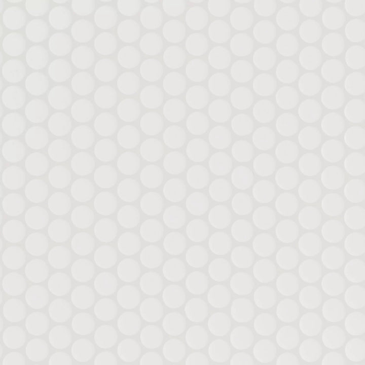 Penny White Polished Porcelain Mosaic