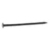 Electro-Galvanized Box Nails 2-1/2" 8D 50 lb