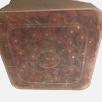 TopShield EG RS Plastic Cap Nails 1" 2000/Box