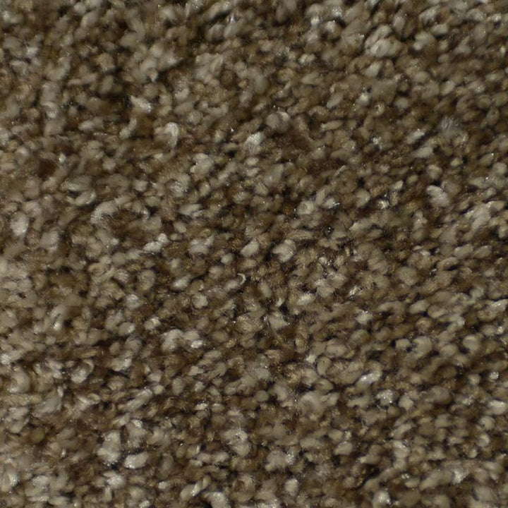 STAINMASTER Signature Cinema Montage Textured Carpet Sample (Interior)