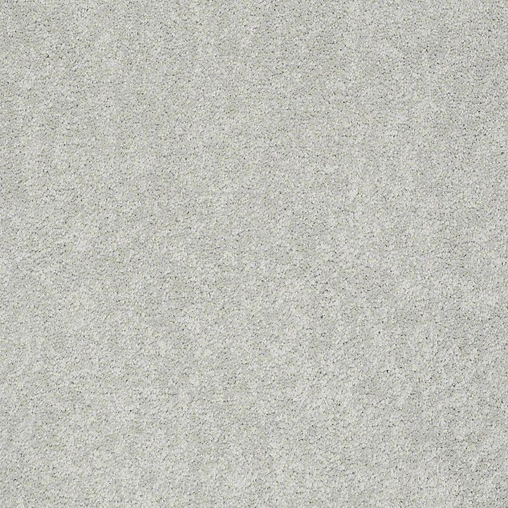 STAINMASTER PetProtect Baxter I Mac Textured Carpet (Indoor)