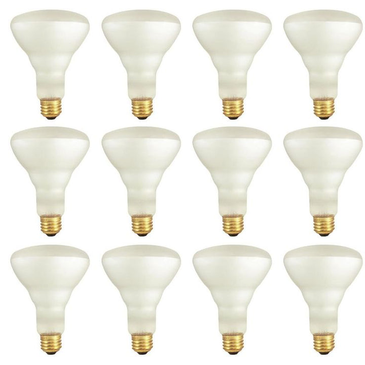 Bulbrite 65-Watt BR30 Frost Dimmable Warm White Light Incandescent Light Bulb (12-Pack)