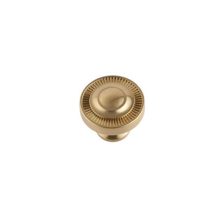 Minted 1.125 in. Satin Brass Small Knob - Super Arbor