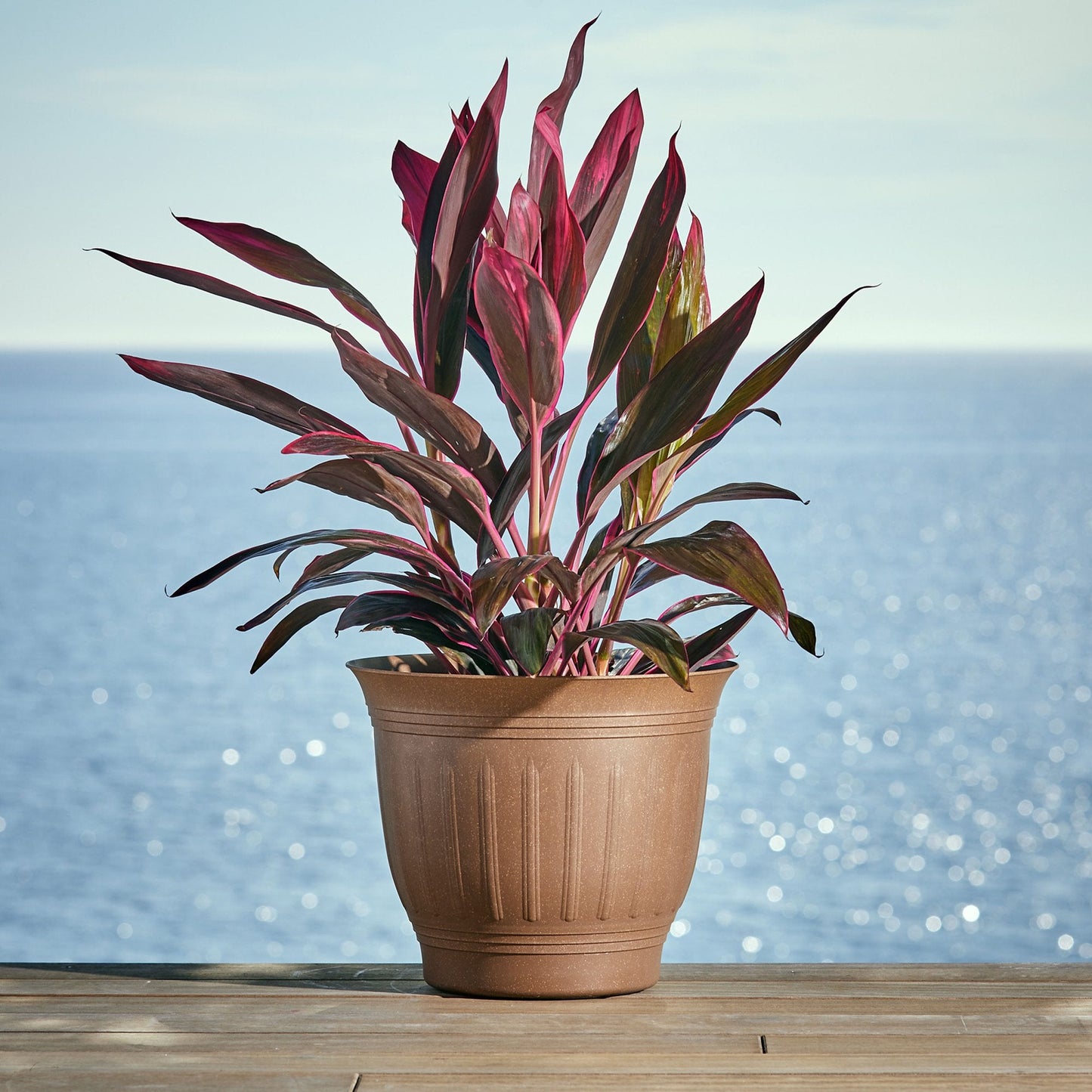 Bloem Colonnade Wood Resin Planter 8" Dark Earth