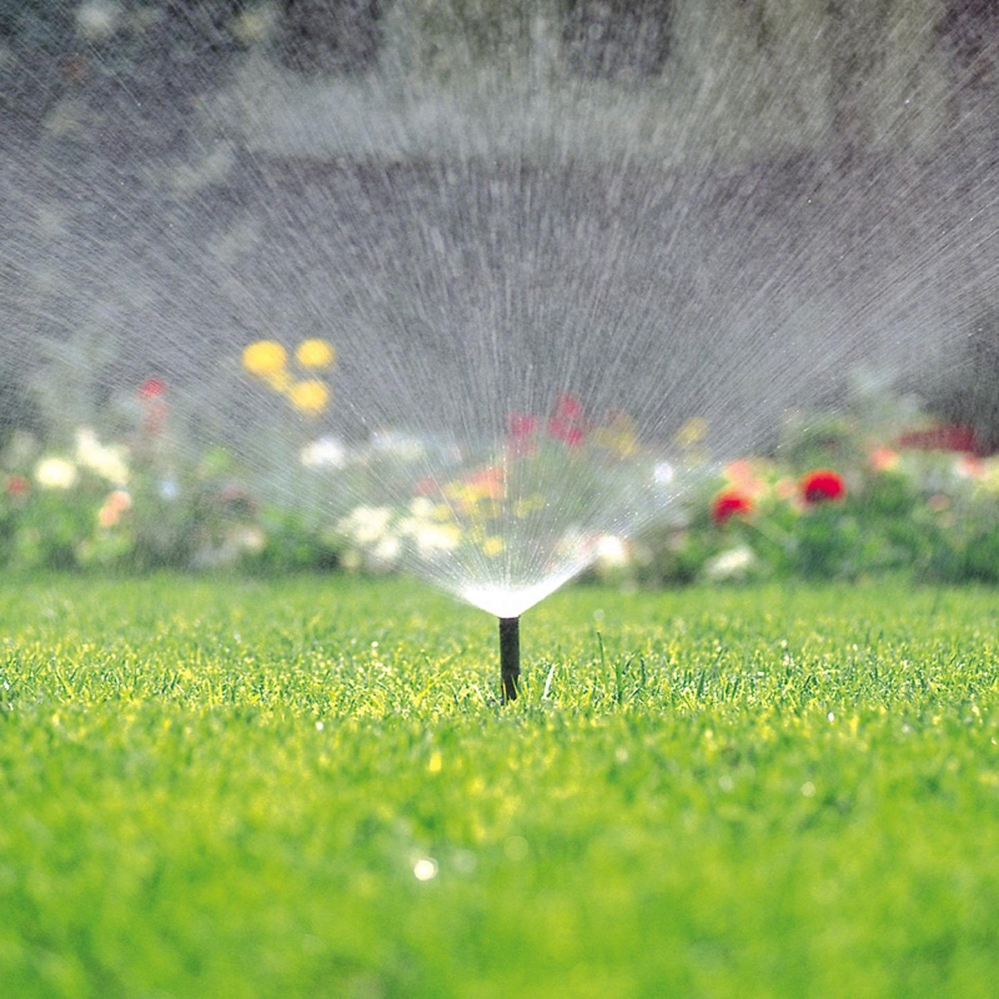 Toro 570 Series 4 in. Adjustable Pop-Up Spray Head with Flush Plug
