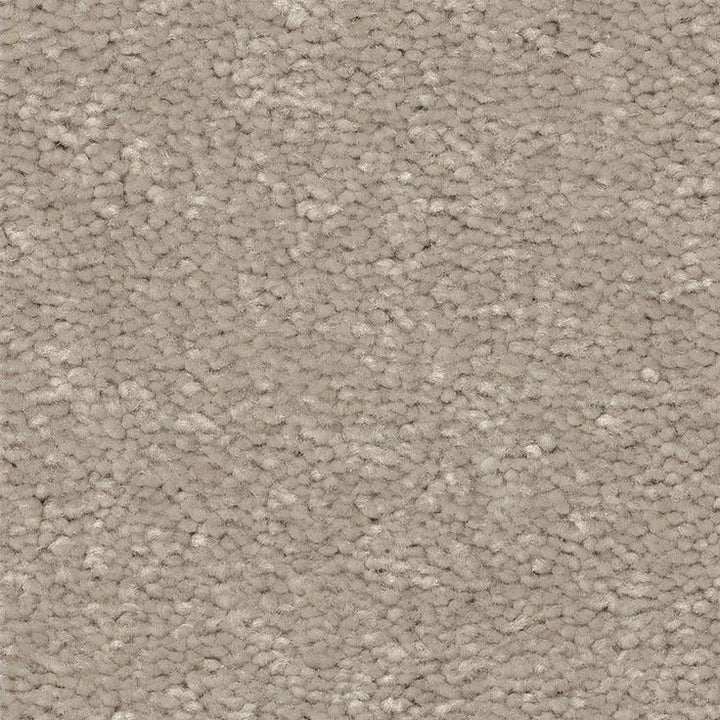 STAINMASTER Essentials Blue Diamonds I 15-ft Greige Textured Carpet (Indoor)