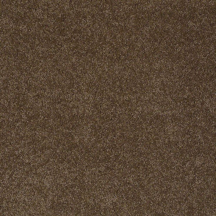 STAINMASTER PetProtect Baxter IV Labrador Textured Carpet Sample (Interior)