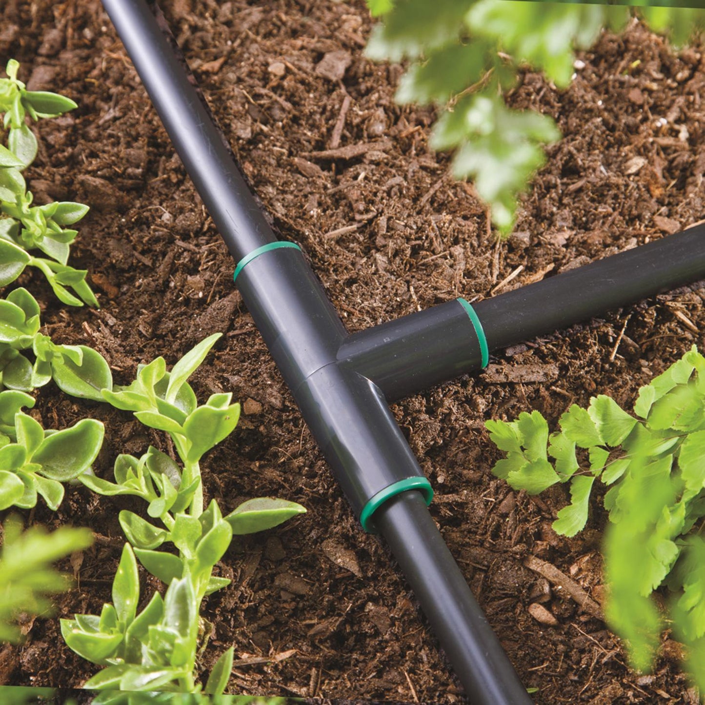 Raindrip 1/2 in. Compression Drip Irrigation Tee, 1-Pack