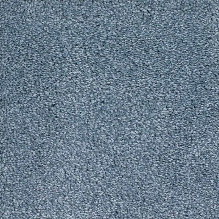 STAINMASTER Signature Briar Patch Radiant Textured Carpet Sample (Interior)
