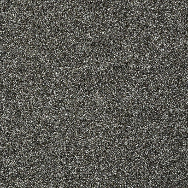 STAINMASTER PetProtect Baxter I Charlie Textured Carpet (Indoor)