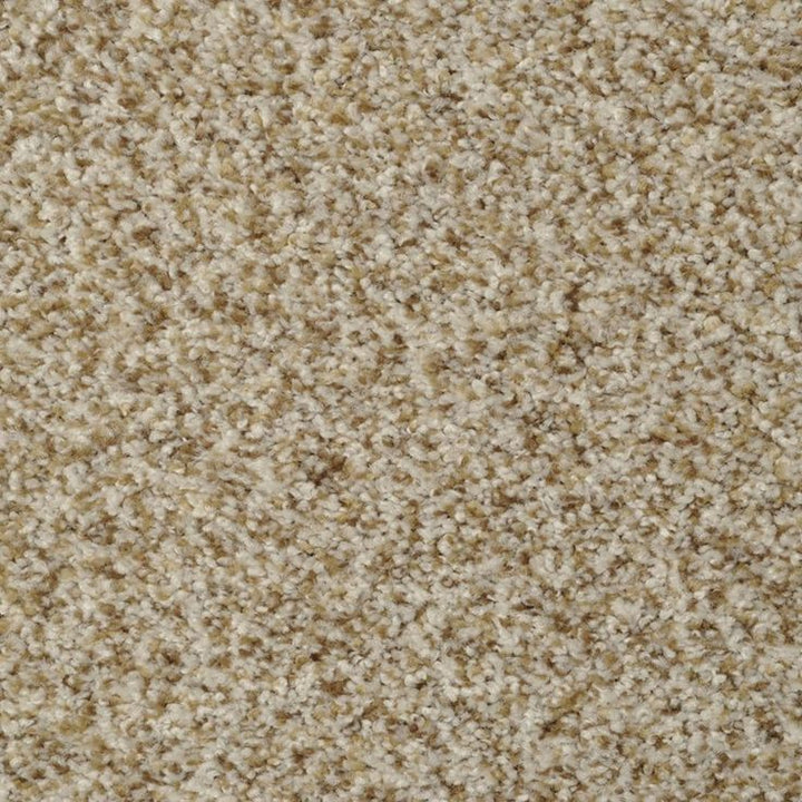 STAINMASTER Signature Cinema Oyster Bay Textured Carpet Sample (Interior)