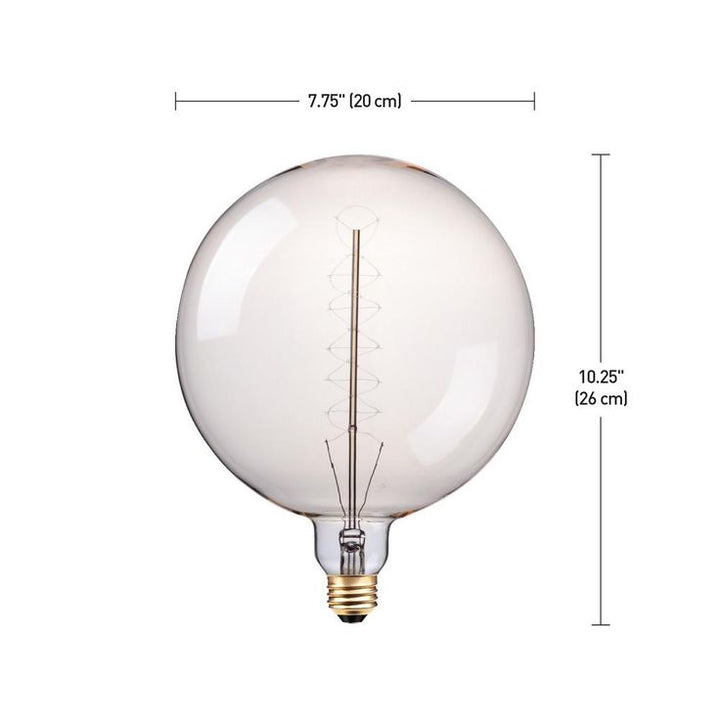 Globe Electric 100-Watt G200 Oversized Vintage Incandescent Light Bulb