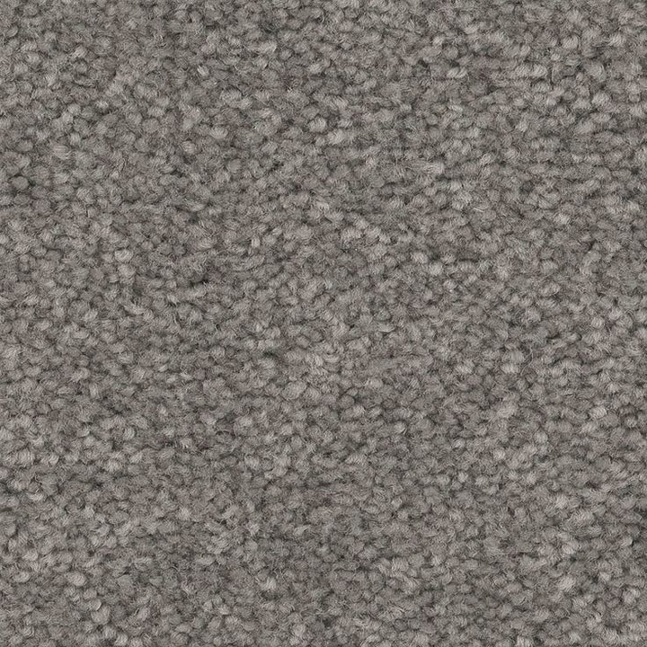 STAINMASTER Essentials Blue Diamonds II 12-ft Concrete Textured Carpet (Indoor)