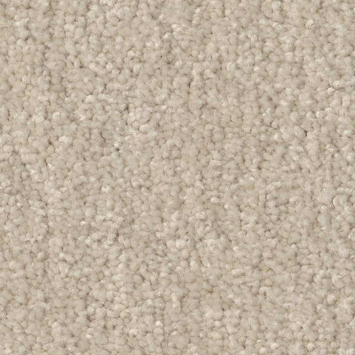STAINMASTER Essentials Blue Diamonds II 12-ft Bleached Textured Carpet (Indoor)