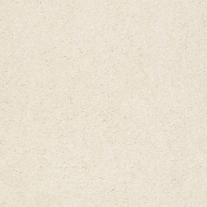 STAINMASTER PetProtect Baxter I Lucy Textured Carpet (Indoor)