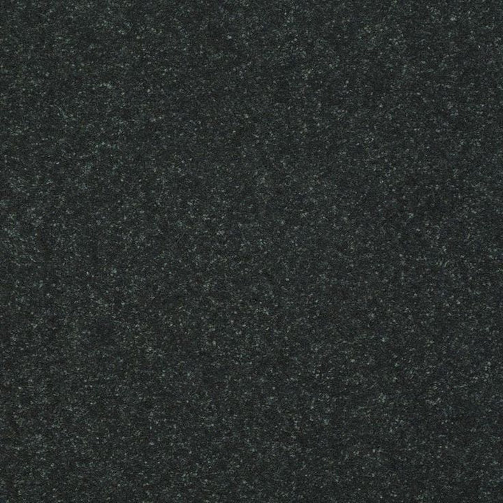 STAINMASTER Essentials Intuition I 12-ft Charcoal Textured Carpet Sample (Interior)
