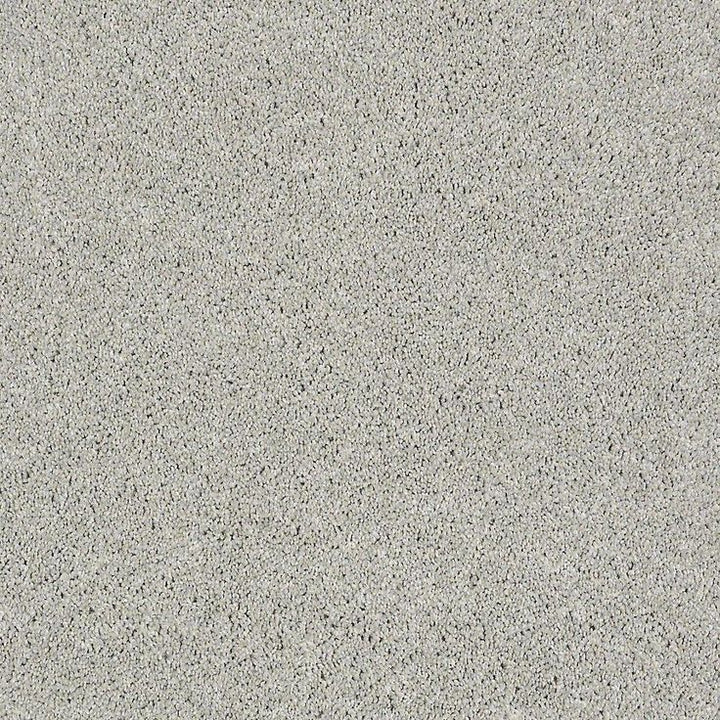 STAINMASTER PetProtect Baxter I Gizmo Textured Carpet (Indoor)