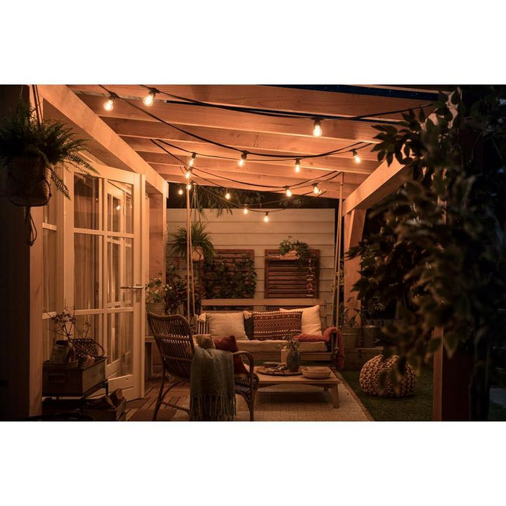 Philips 40-Watt Equivalent G16.5 Dimmable with Warm Glow Dimming Effect LED Light Bulb Soft White Frosted Globe (2-Pack)