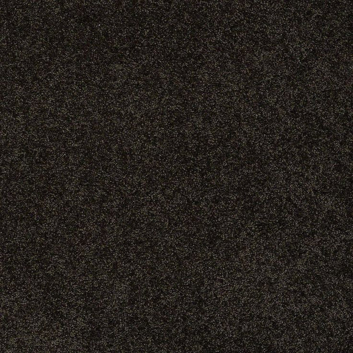 STAINMASTER PetProtect Baxter II Bear Textured Carpet (Indoor)