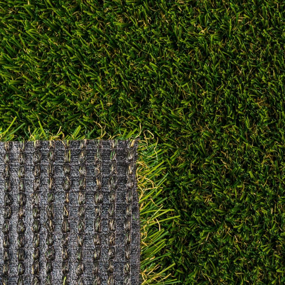 GREENLINE ARTIFICIAL GRASS Santa Monica Fescue 15 ft. W x Cut to Length Green Artificial Grass Turf