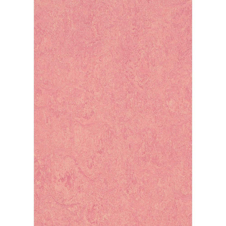 Marmoleum Cinch Loc Seal Honey Suckle 9.8 mm T x 11.81 in. W x 35.43 in. L Laminate Flooring (20.34 sq. ft./case)