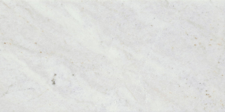 Emser Kalta Fiore 24 in. x 24 in. Polished Natural Stone Marble Look Tile