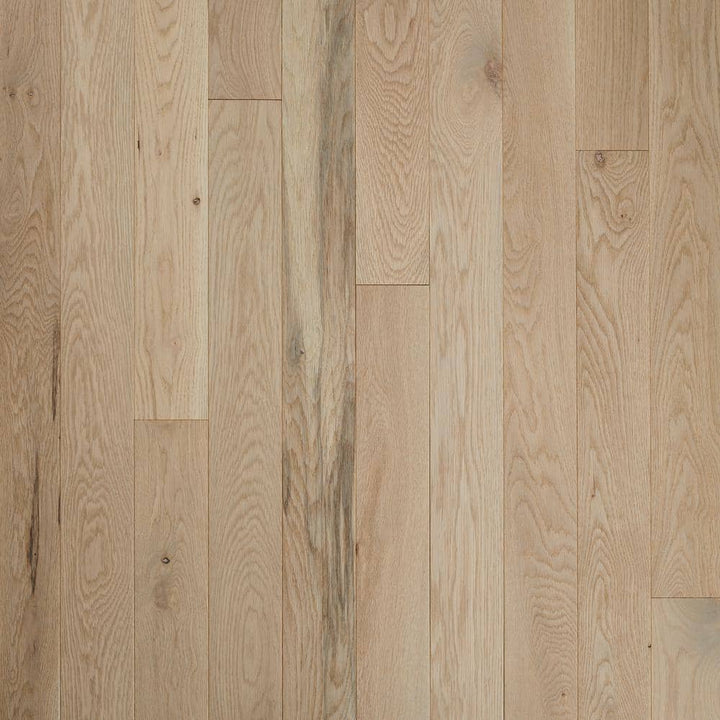 Bruce Plano Low Gloss Taupe Oak 3/4 in. T x 5 in. W Smooth Solid Hardwood Flooring (23.5 sq.ft./ctn)