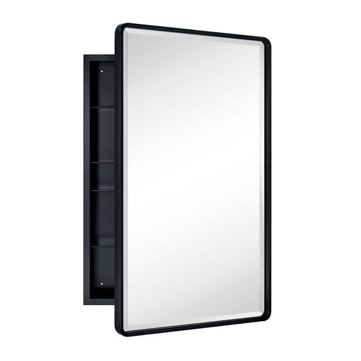TEHOME Eldee 20 in. W x 30 in. H Surface Mount Rectangular Metal Framed Bathroom Medicine Cabinet with Mirror in Matt Black