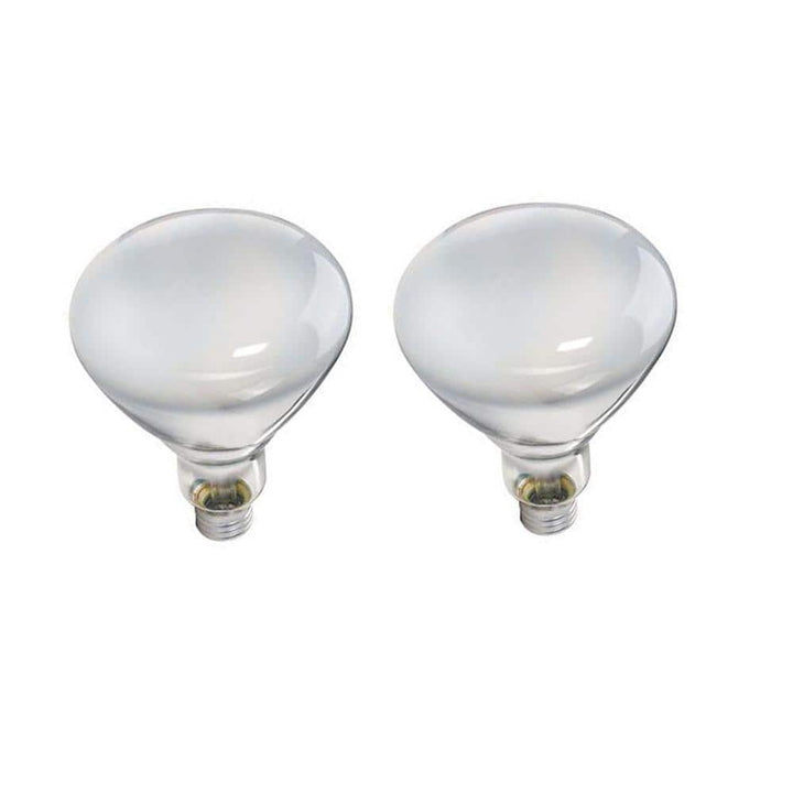 Philips 65-Watt BR40 Incandescent DuraMax Indoor Flood Light Bulb (2-Pack)