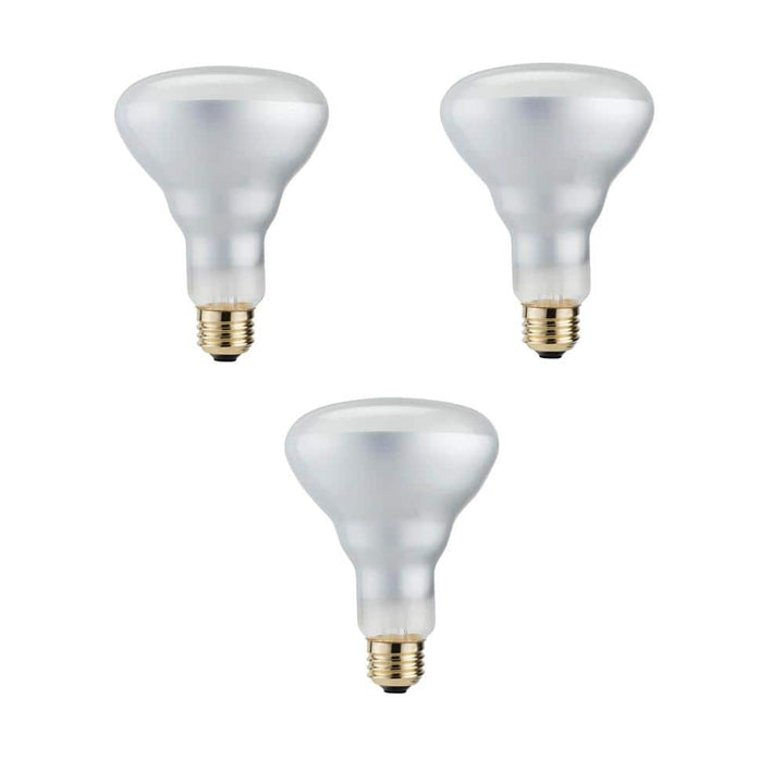 Philips 50-Watt Equivalent Halogen BR30 Dimmable Flood Light Bulb (3-Pack)