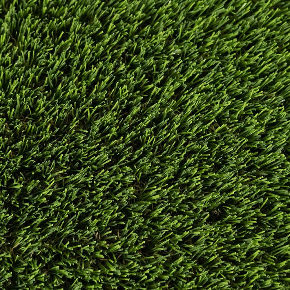 TURF DISTRIBUTORS Eco 108 Pine + Bamboo Green 15 ft. Wide x Cut to Length Green Artificial Grass Carpet