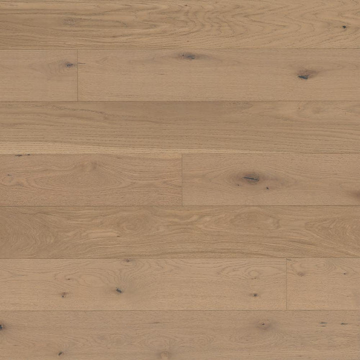 MSI Sandy Shores White Oak 3/8 in. T x 7in. W Tongue and Groove Engineered Hardwood Flooring (23.37 sq. ft./case)