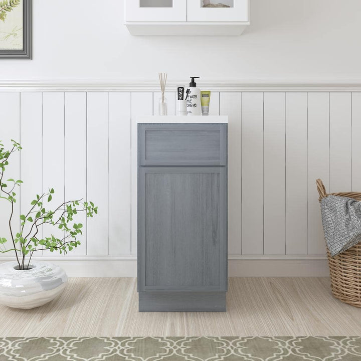 Vanity Art 15 in. W x 21 in. D x 32.5 in. H 1-Drawer Bath Vanity Cabinet Only in Smoky Gray