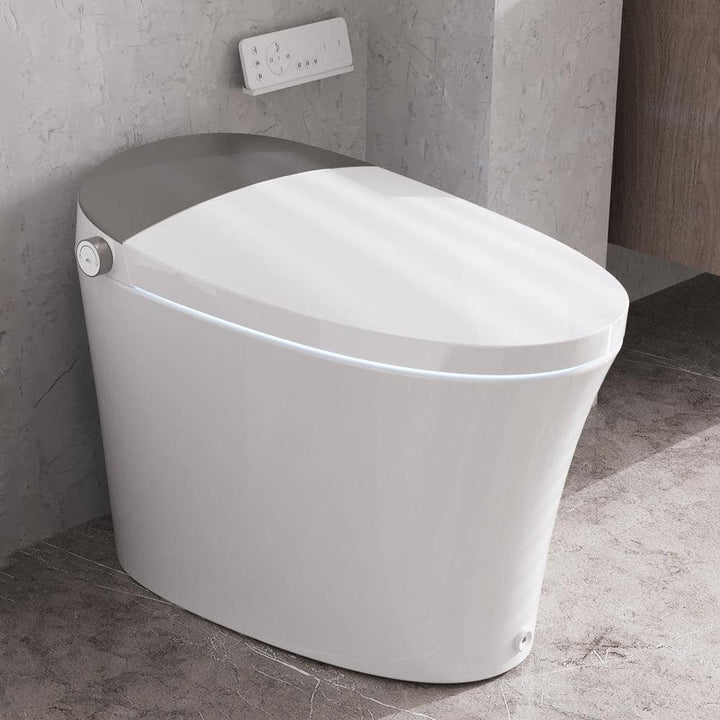 DEERVALLEY Elongated Smart Toilet Bidet with Auto Flush, Warm Water & Air Dryer