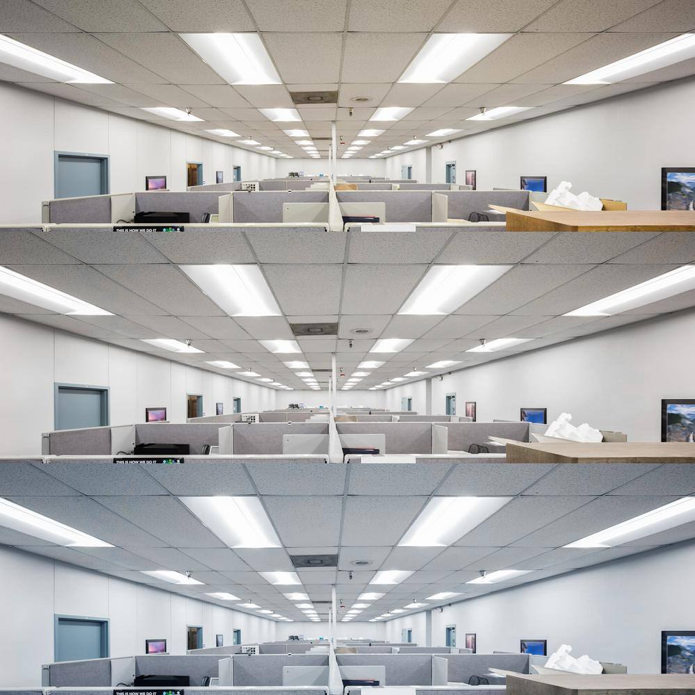LUXRITE 1 ft. x 4 ft. Center Basket LED Troffer Panel Light 2000/2500/3750 Lumens 3500K/4000K/5000K Dimmable Damp Rated (2-Pack)