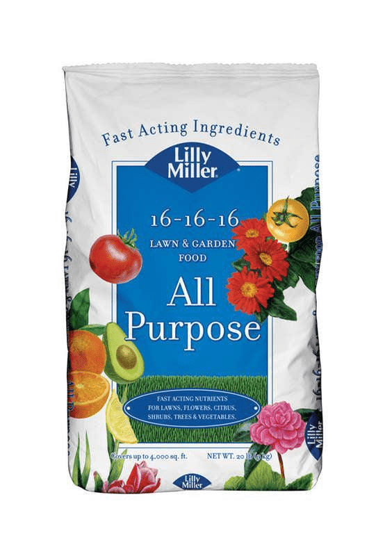 Lilly Miller - Super Arbor