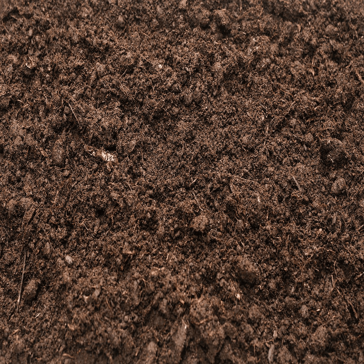Locally Sourced - Super Arbor
